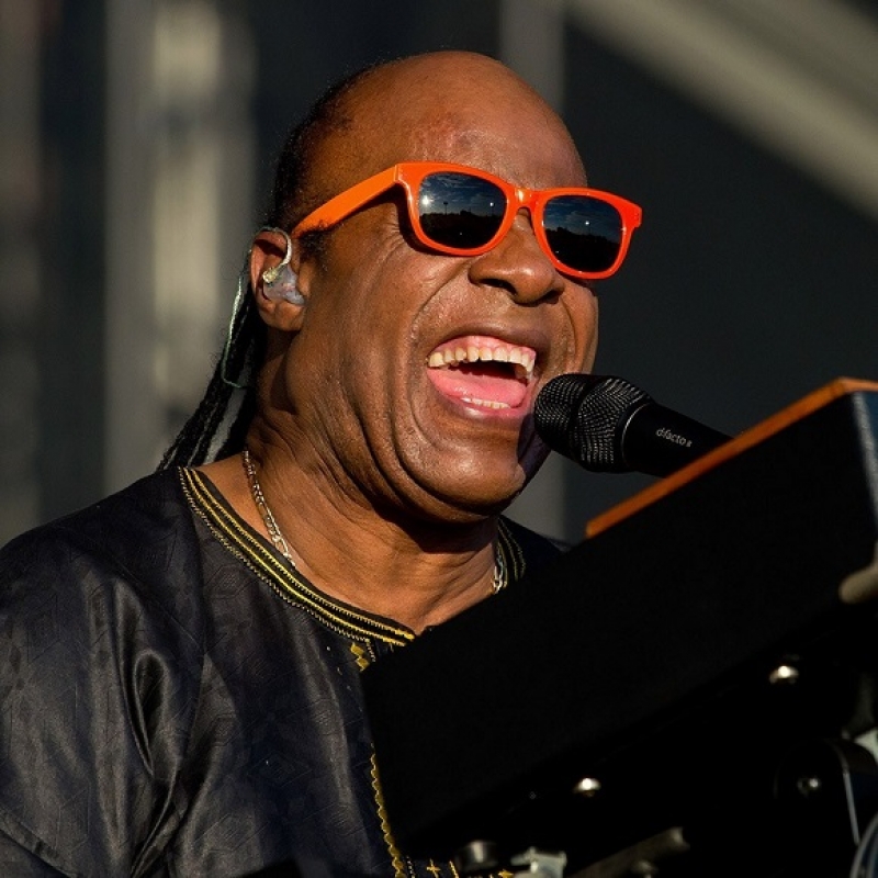 Stevie Wonder Image